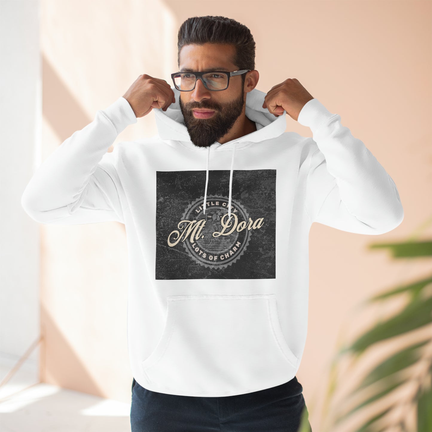 Mt. Dora Little City, Lots of Charm Unisex Premium Pullover Hoodie