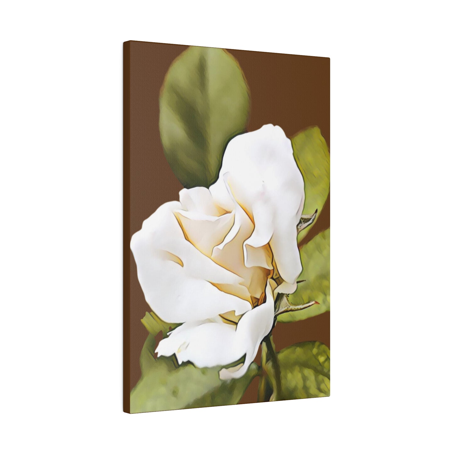 Beautiful White Rose Bud on a Matte Canvas, Stretched, 0.75"