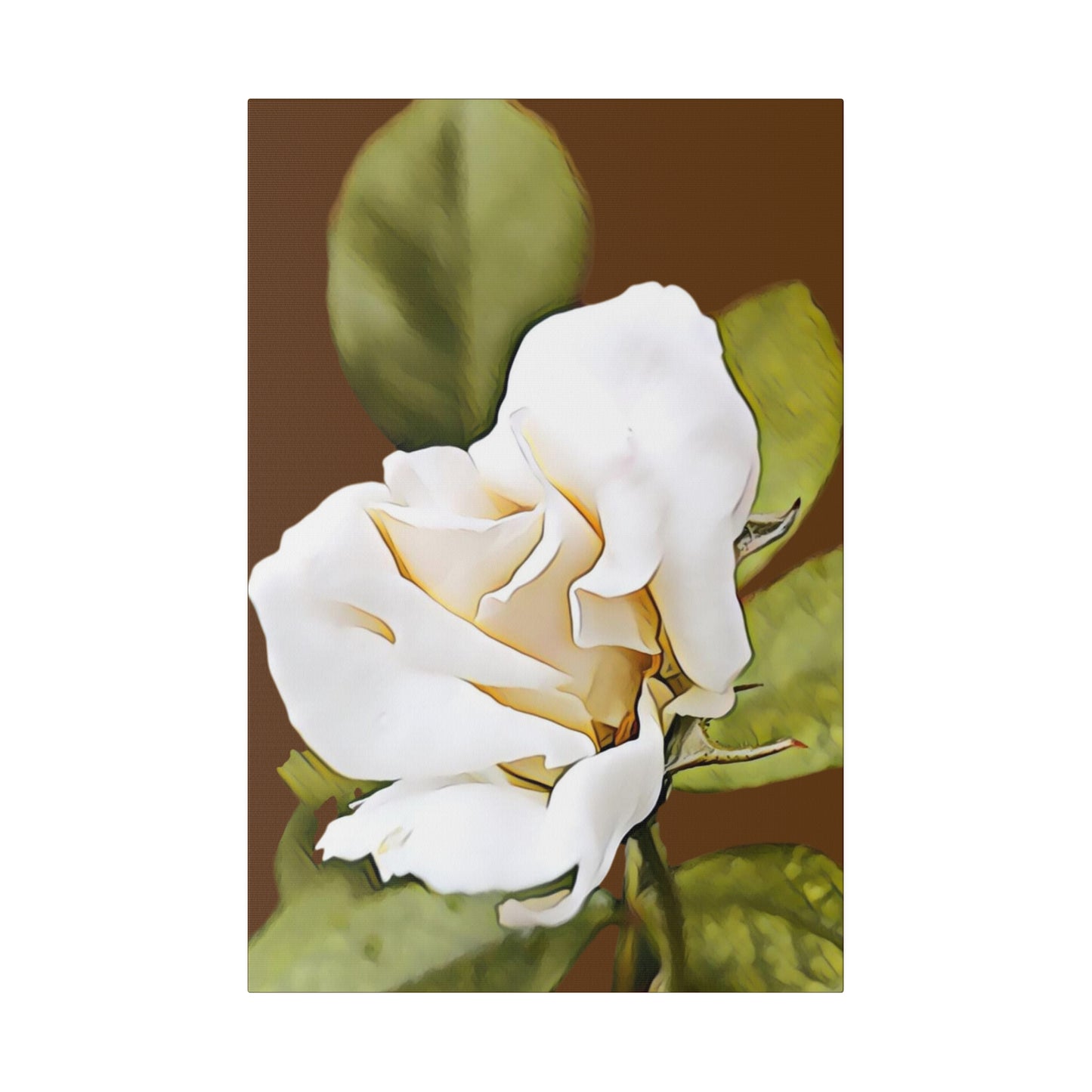 Beautiful White Rose Bud on a Matte Canvas, Stretched, 0.75"