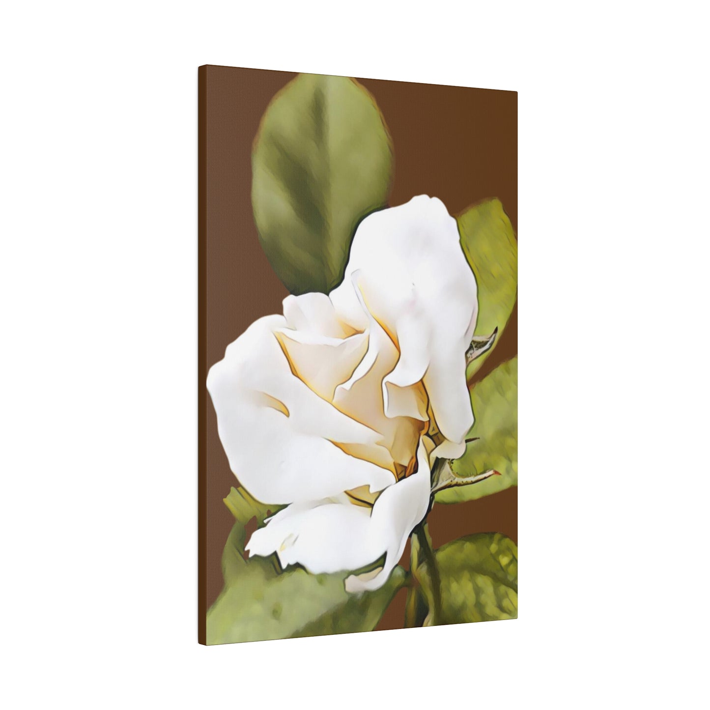 Beautiful White Rose Bud on a Matte Canvas, Stretched, 0.75"