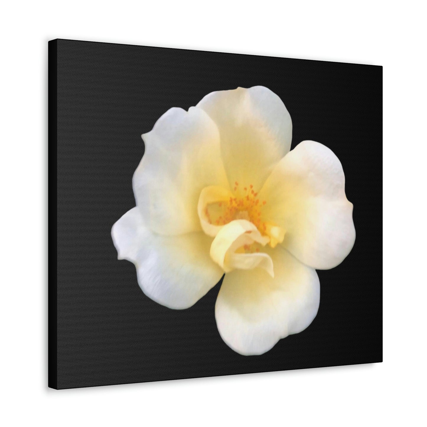 Delicate Yellow Rose print on Canvas Gallery Wrap